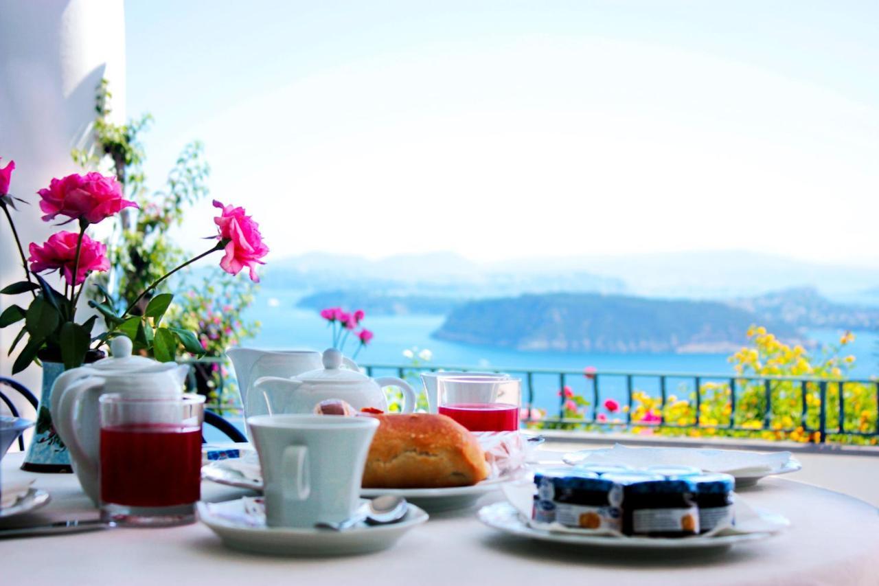 La Pergola Del Torchio Bed & Breakfast Ischia Bagian luar foto