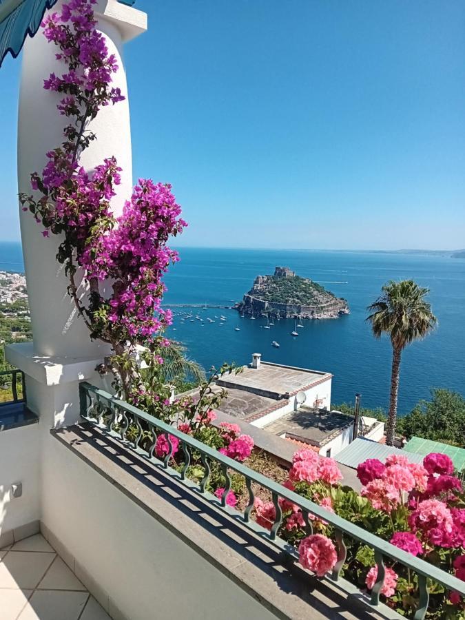 La Pergola Del Torchio Bed & Breakfast Ischia Bagian luar foto