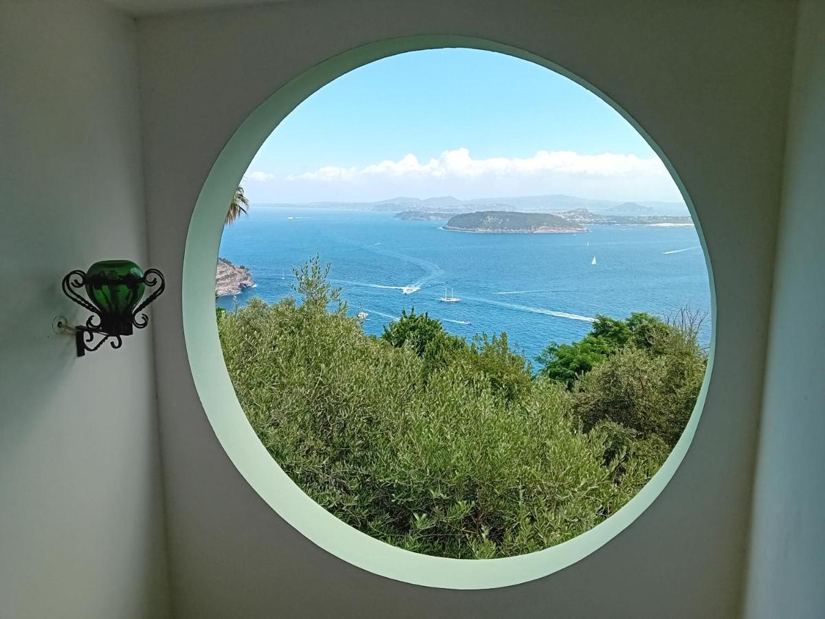 La Pergola Del Torchio Bed & Breakfast Ischia Bagian luar foto